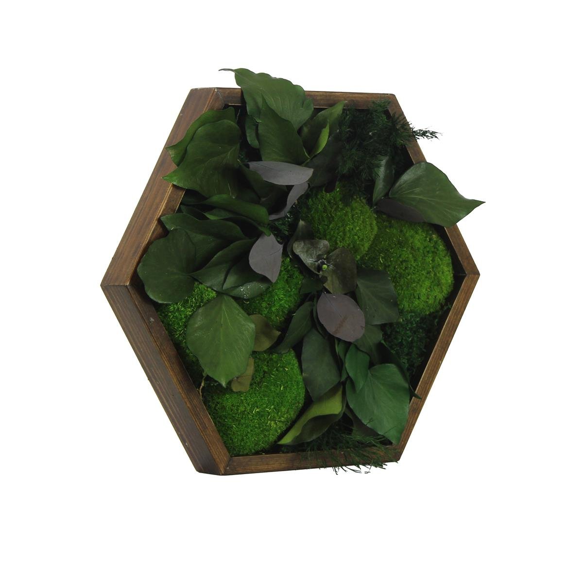Yosun Tablo Natural Brown A1