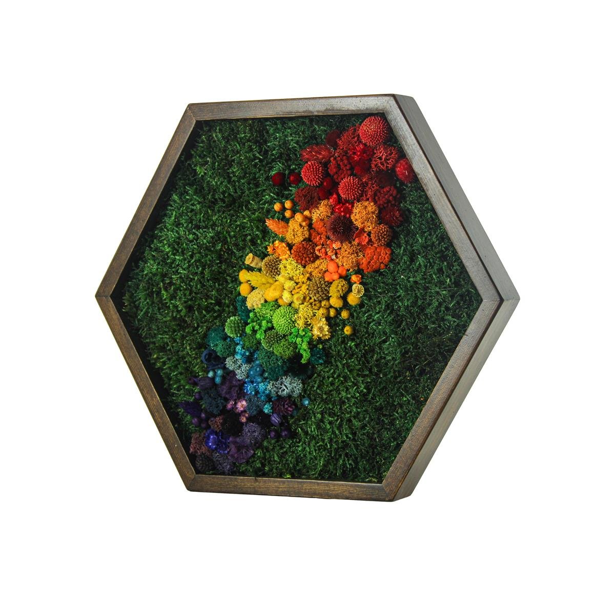 Yosun Tablo Rainbow Brown A1
