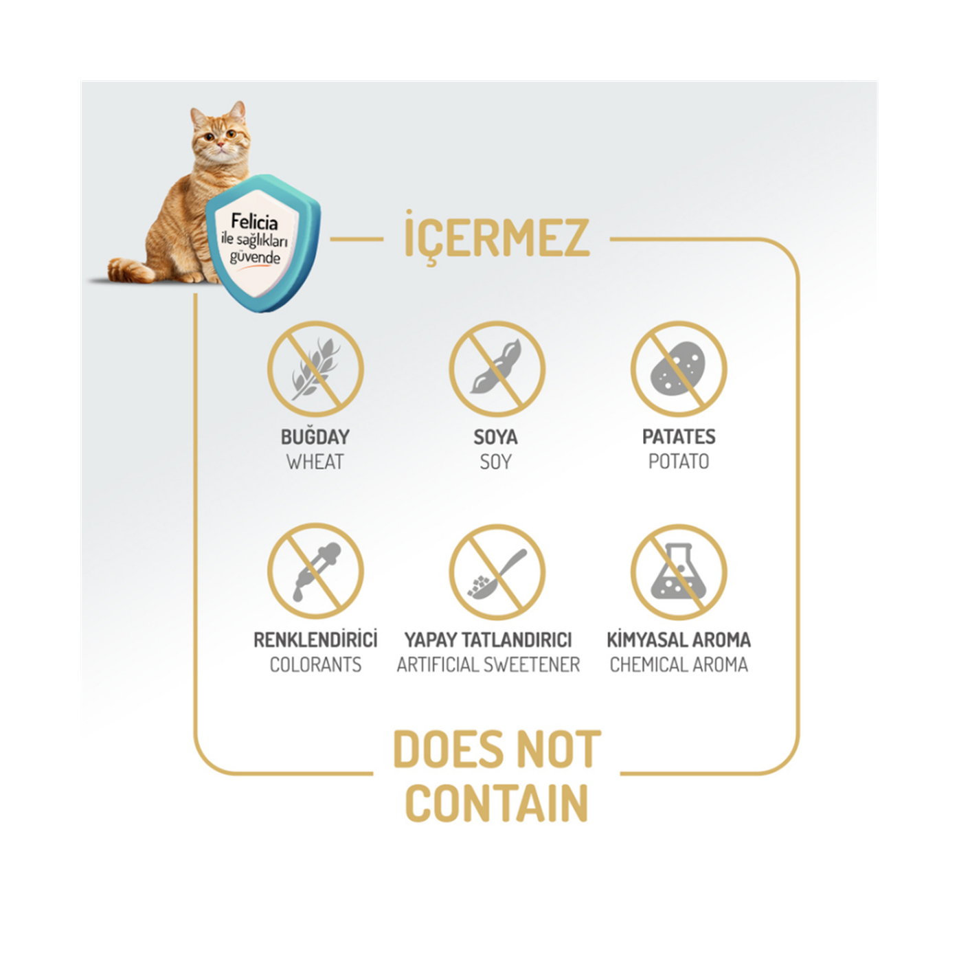 Felicia Az Tahıllı 12 Kg Yavru Kuzu Etli HypoAllergenic Kedi Maması