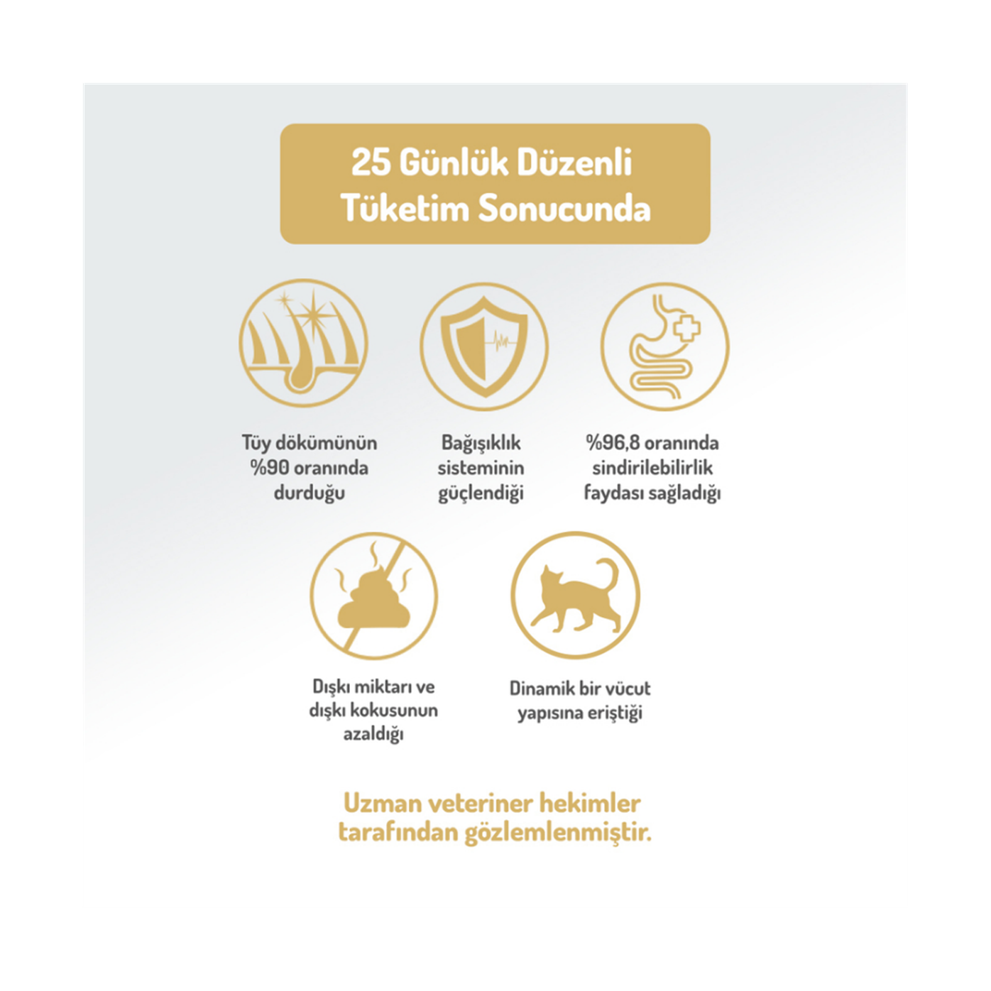 Felicia Az Tahıllı 12 Kg Yavru Kuzu Etli HypoAllergenic Kedi Maması