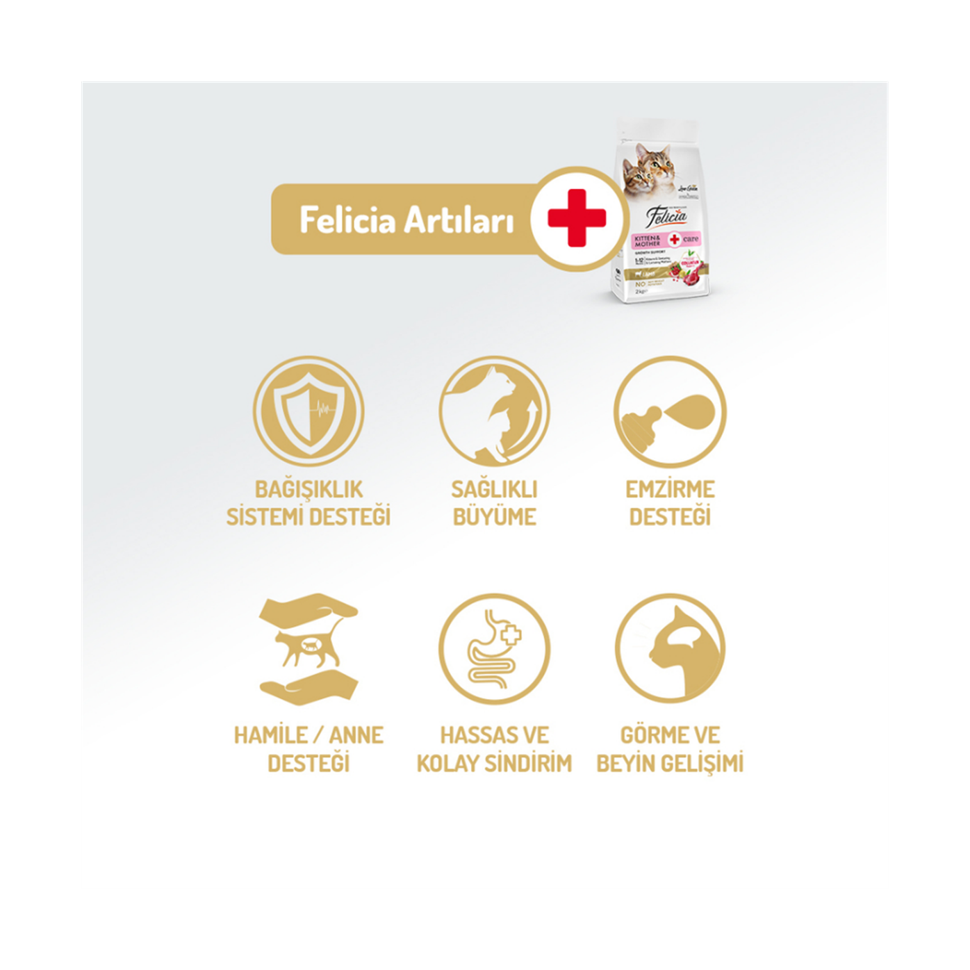 Felicia Az Tahıllı 12 Kg Yavru Kuzu Etli HypoAllergenic Kedi Maması