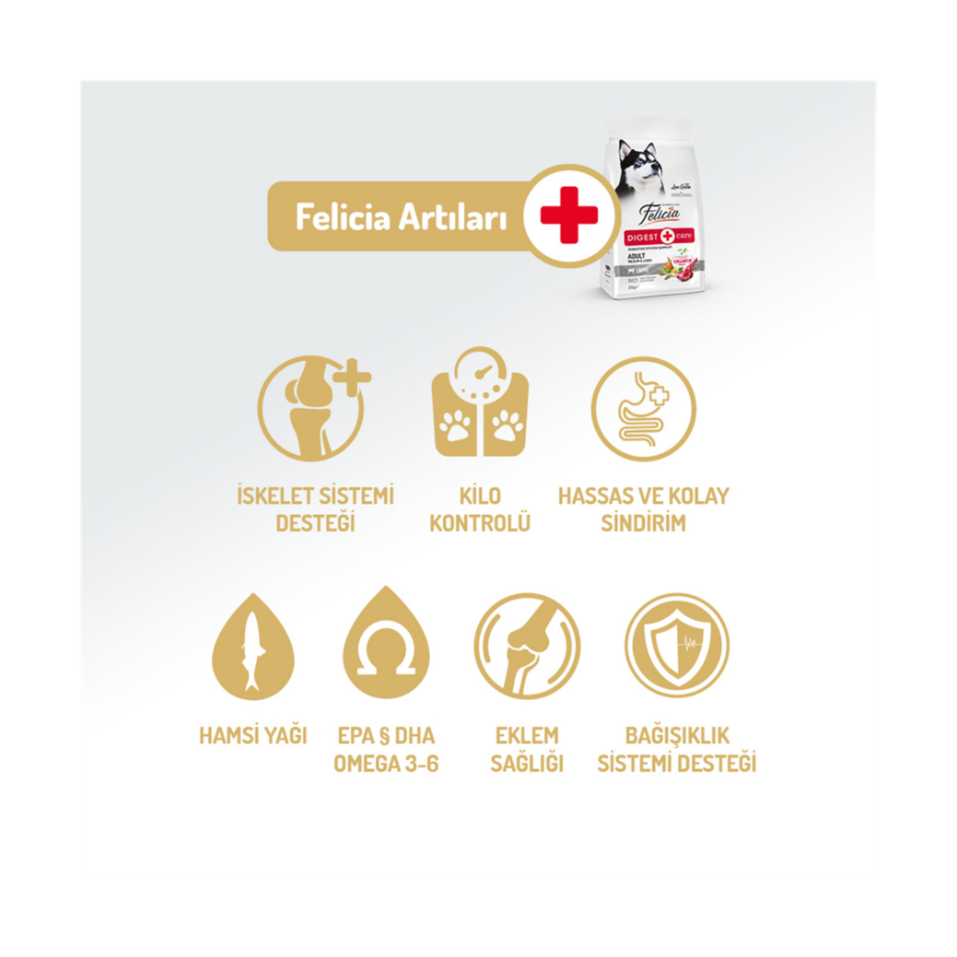 Felicia Az Tahıllı 15 Kg Yetişkin Kuzulu M/Large Breed HypoAllergenic Köpek Maması