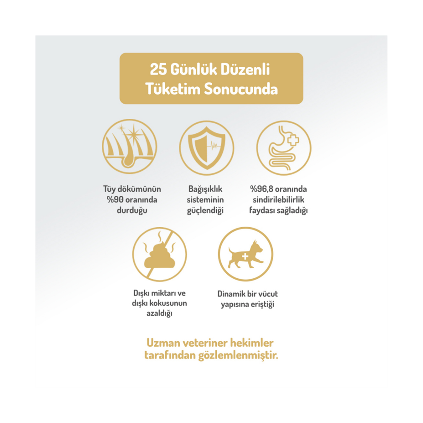 Felicia Az Tahıllı 15 Kg Yetişkin Kuzulu M/Large Breed HypoAllergenic Köpek Maması