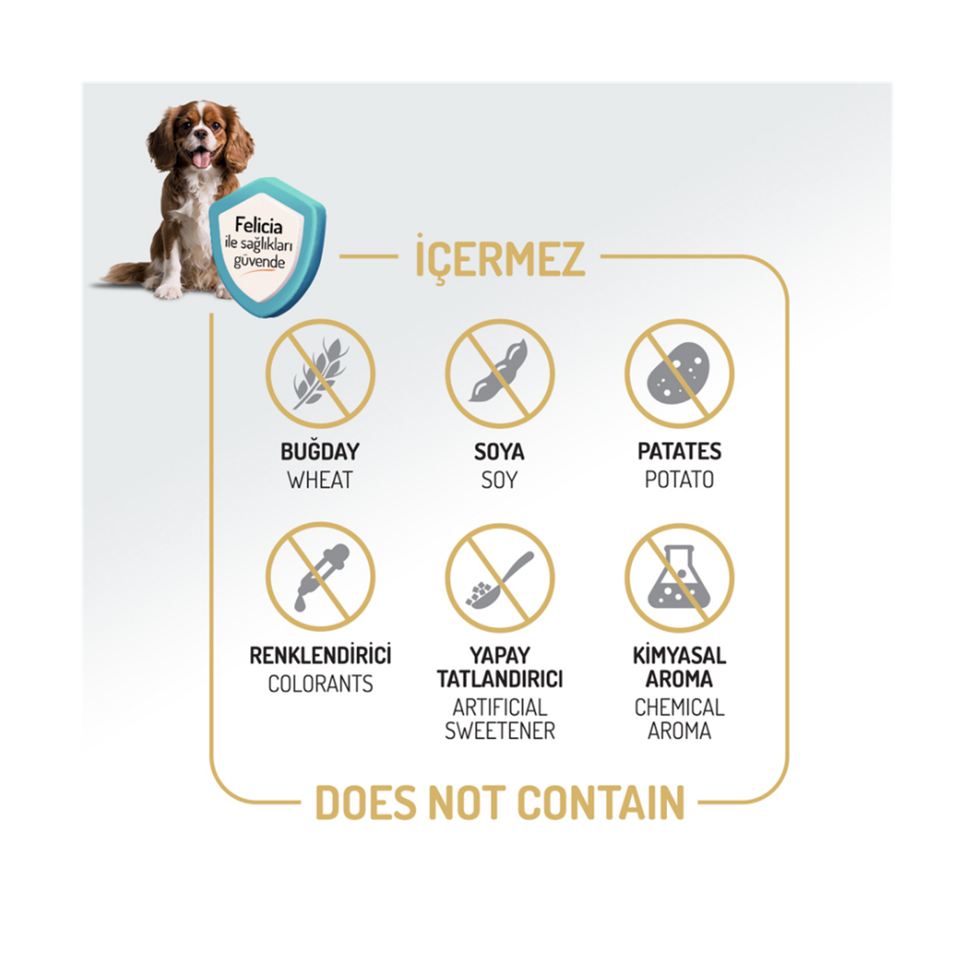 Felicia Az Tahıllı 15 Kg Yetişkin Kuzulu M/Large Breed HypoAllergenic Köpek Maması