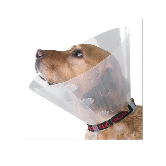 Maxilife Elizabeth Yakalık No:7