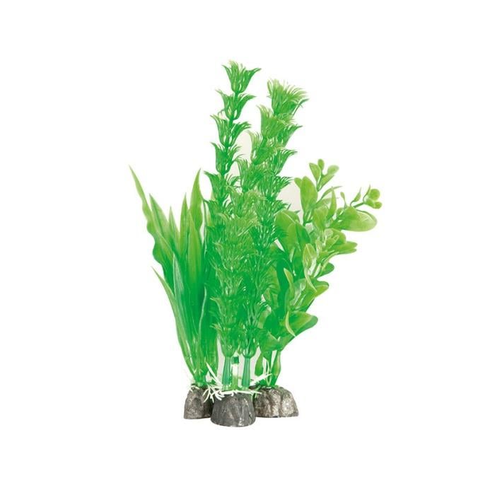 Plastik Bitki 4-6