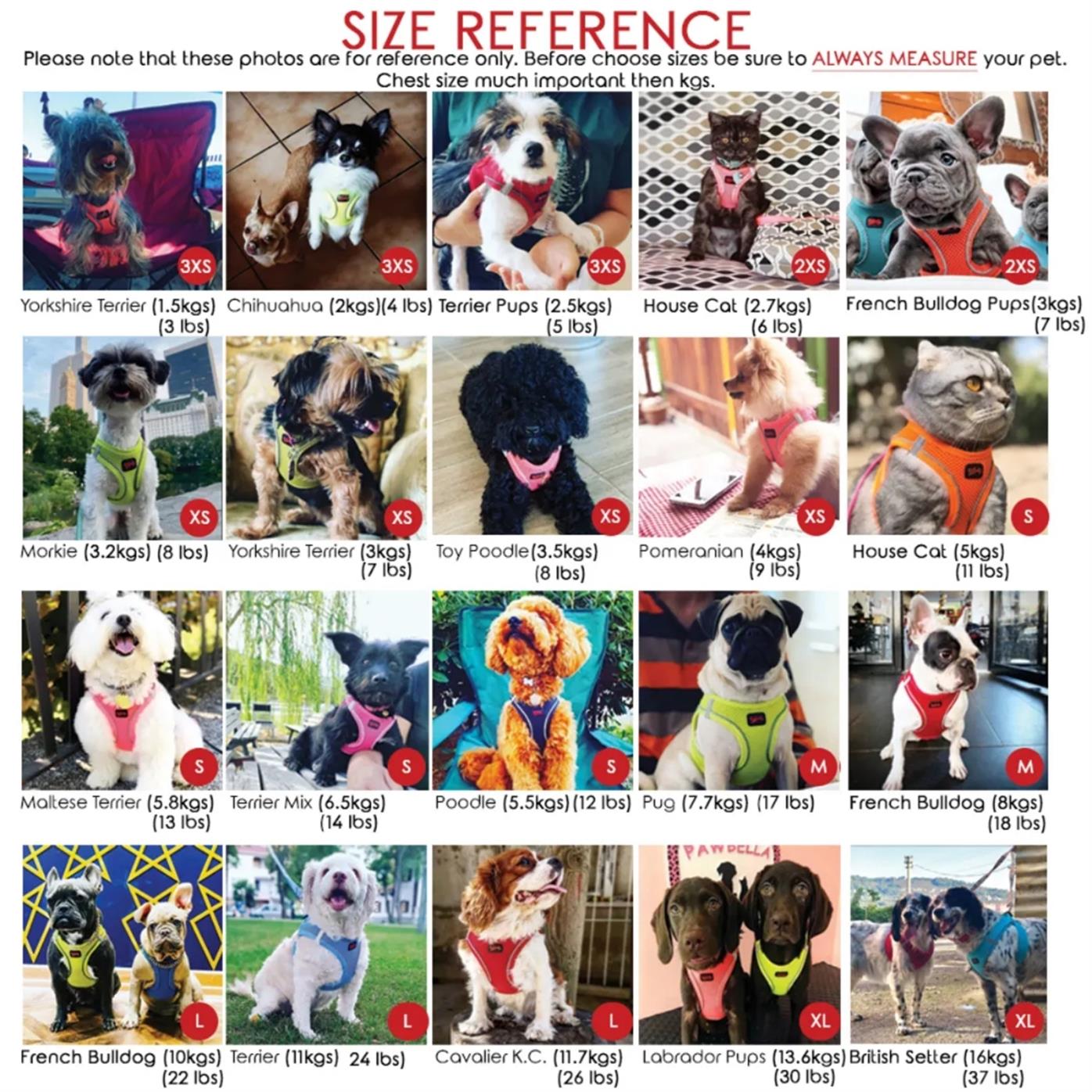 TailPetz Airmesh Sax Köpek Göğüs Tasması XS