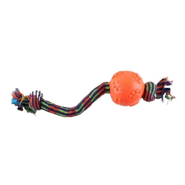 Zampa Pati Desenli İpli Köpek Oyuncağı, 37cm