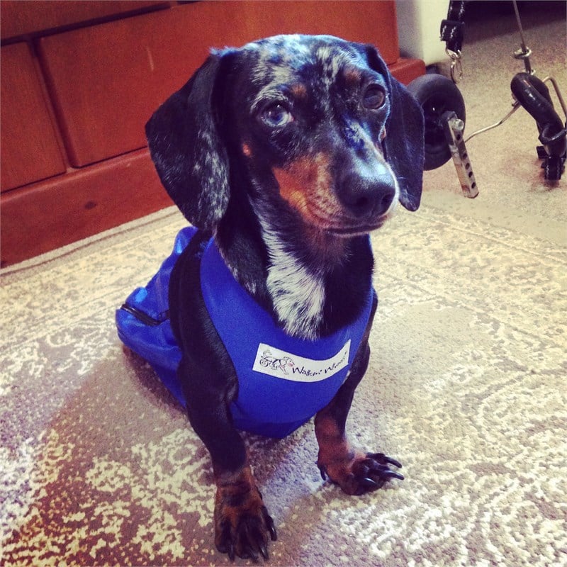 Yara Engelleyici Tulum