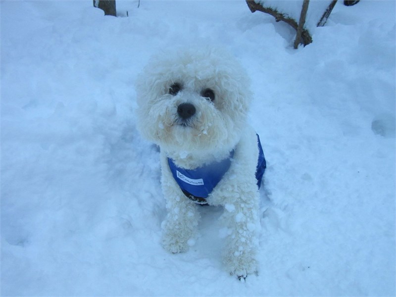 Yara Engelleyici Tulum