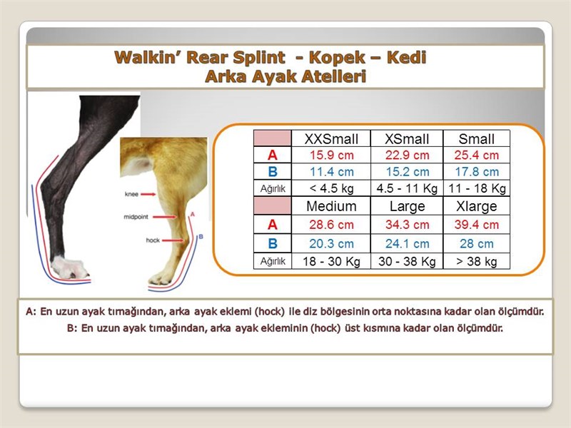 Arka Ayak icin Atel