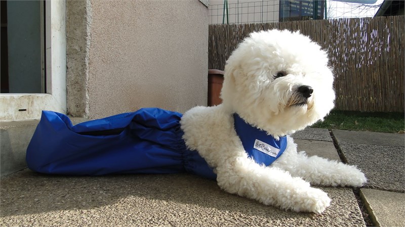 Yara Engelleyici Tulum