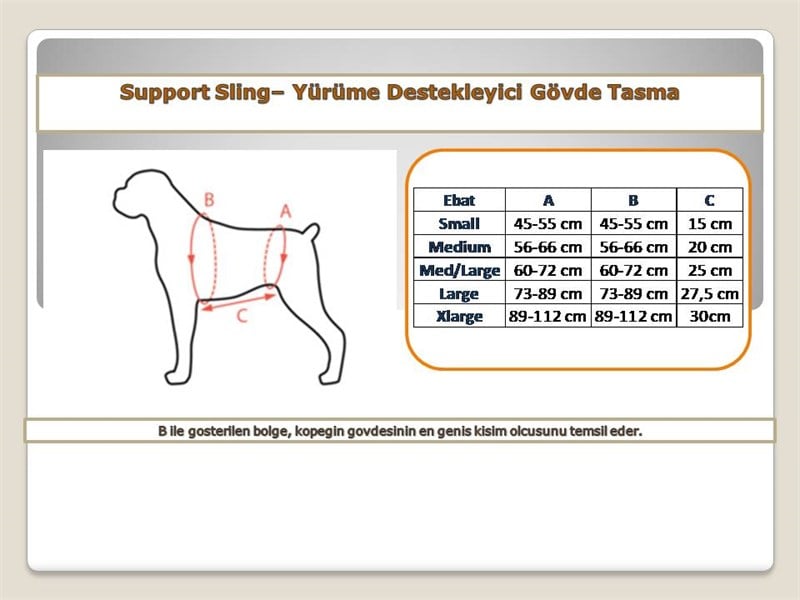 Yürüme Destekleyici Gövde Tasma