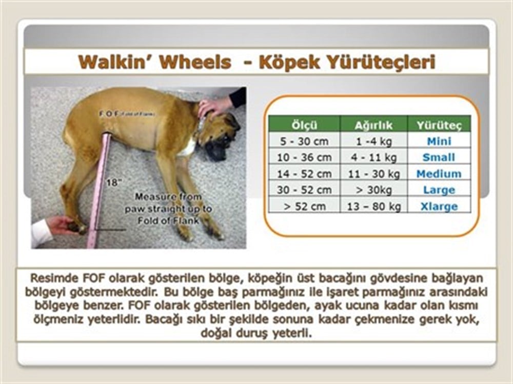 Köpek Yürüteç -  Small