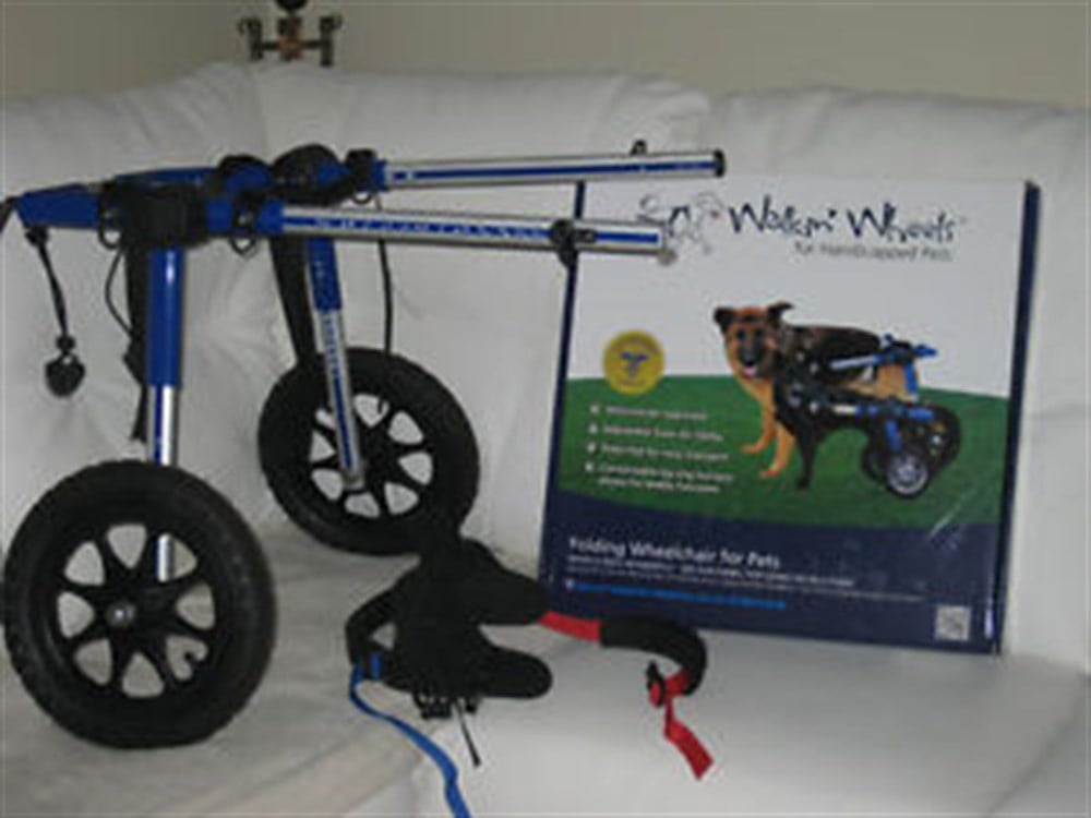 Köpek Yürüteç -  XLarge