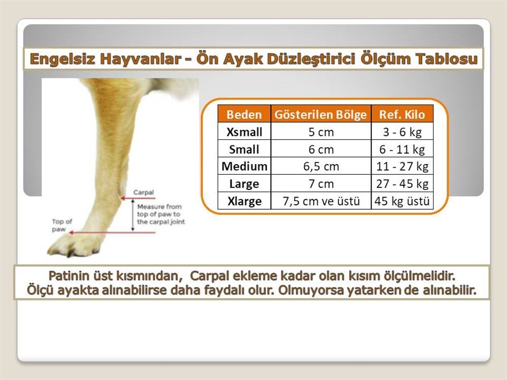 Ön Ayak Düzleştirici