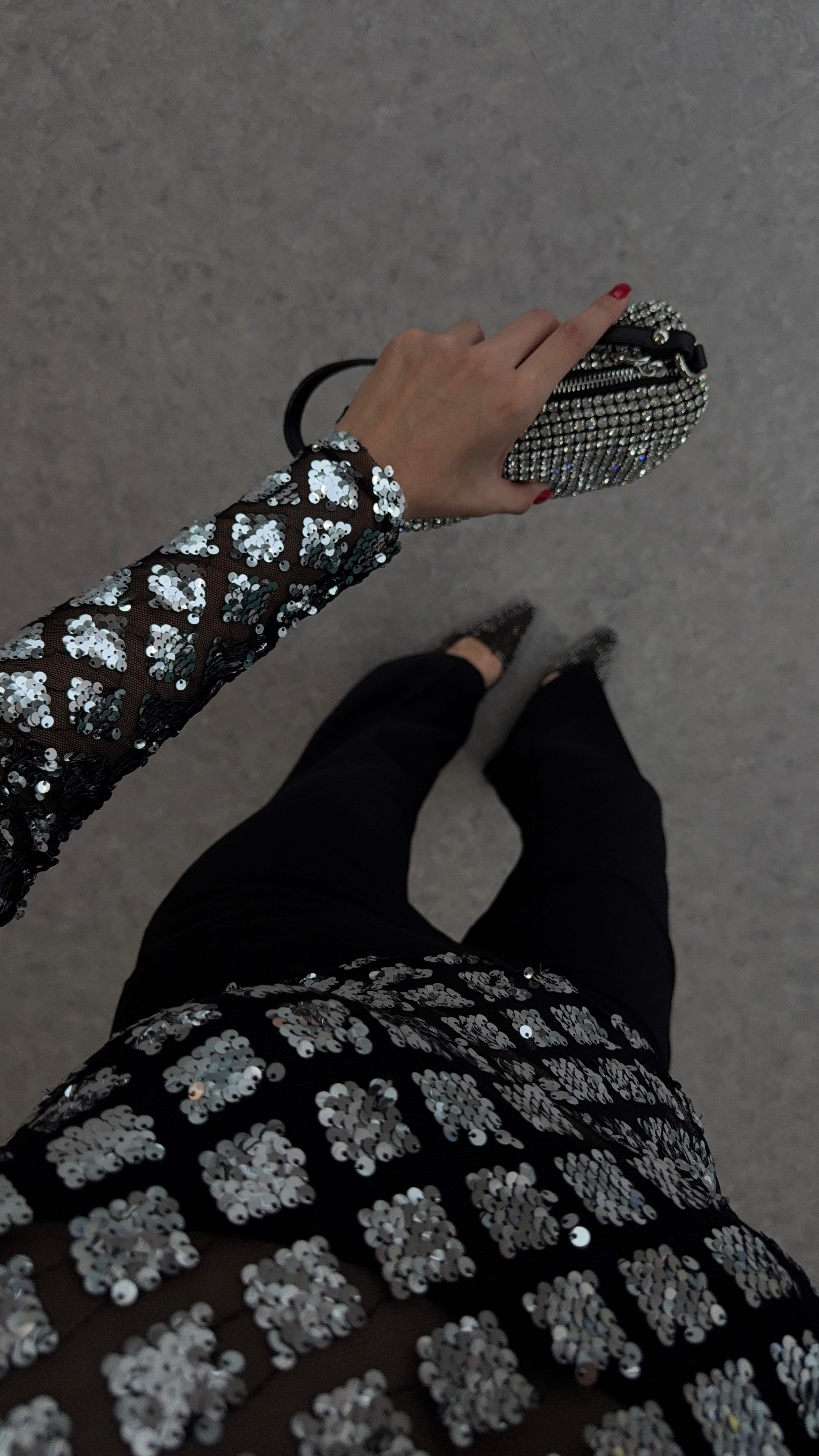 Pullu Gümüş Bluz