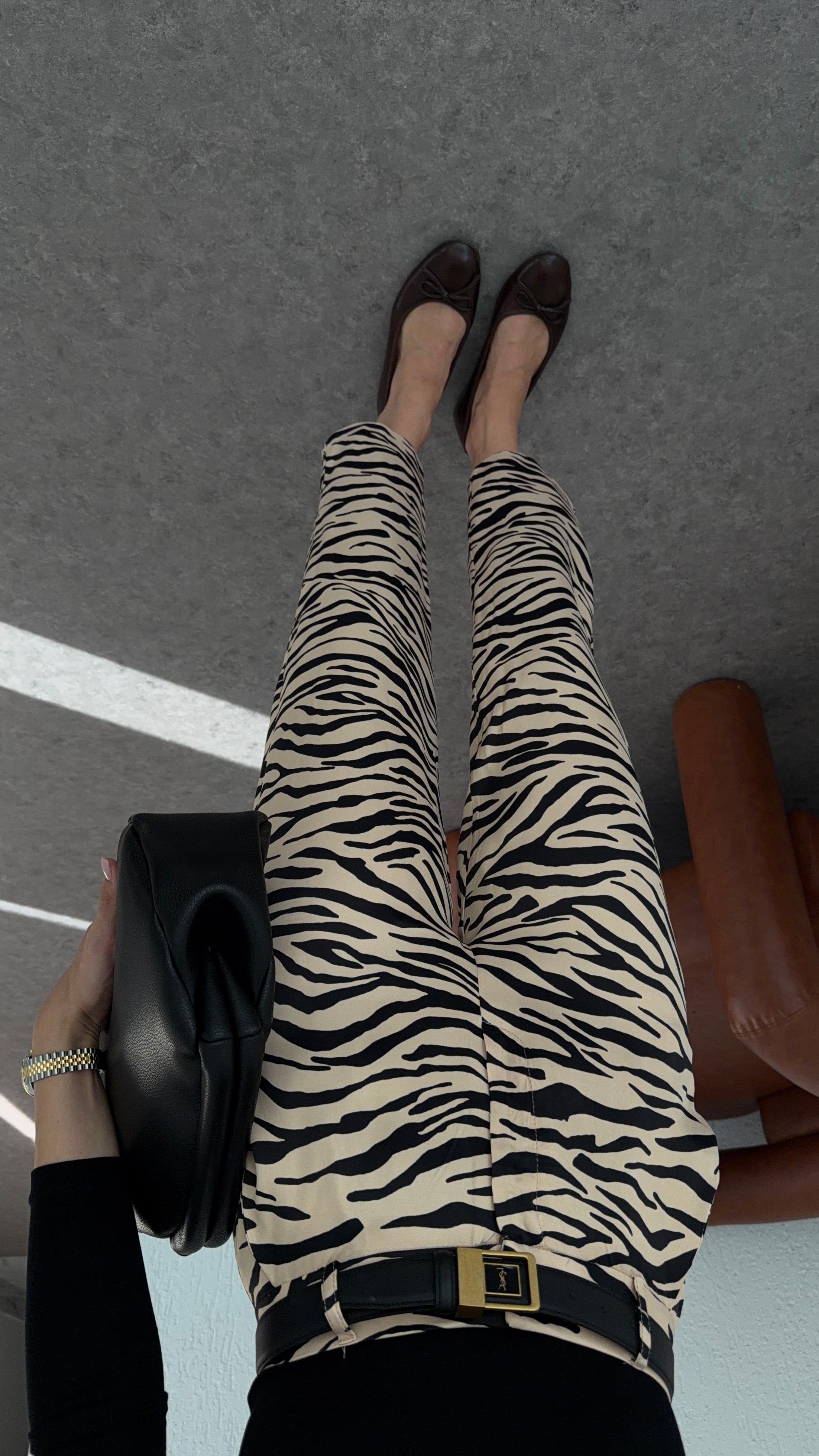 Zebra Takım