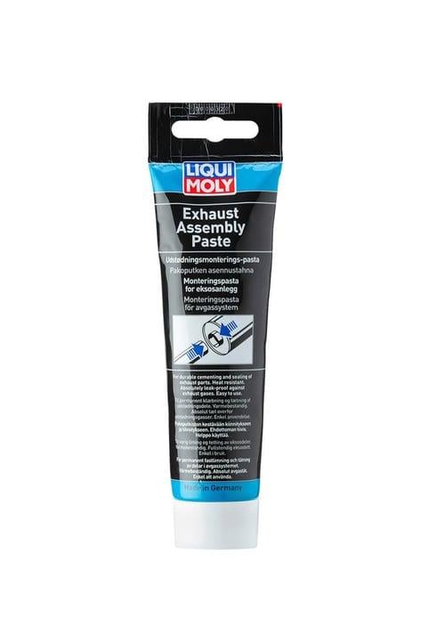 EGZOZ MONTAJ PASTASI  150 G