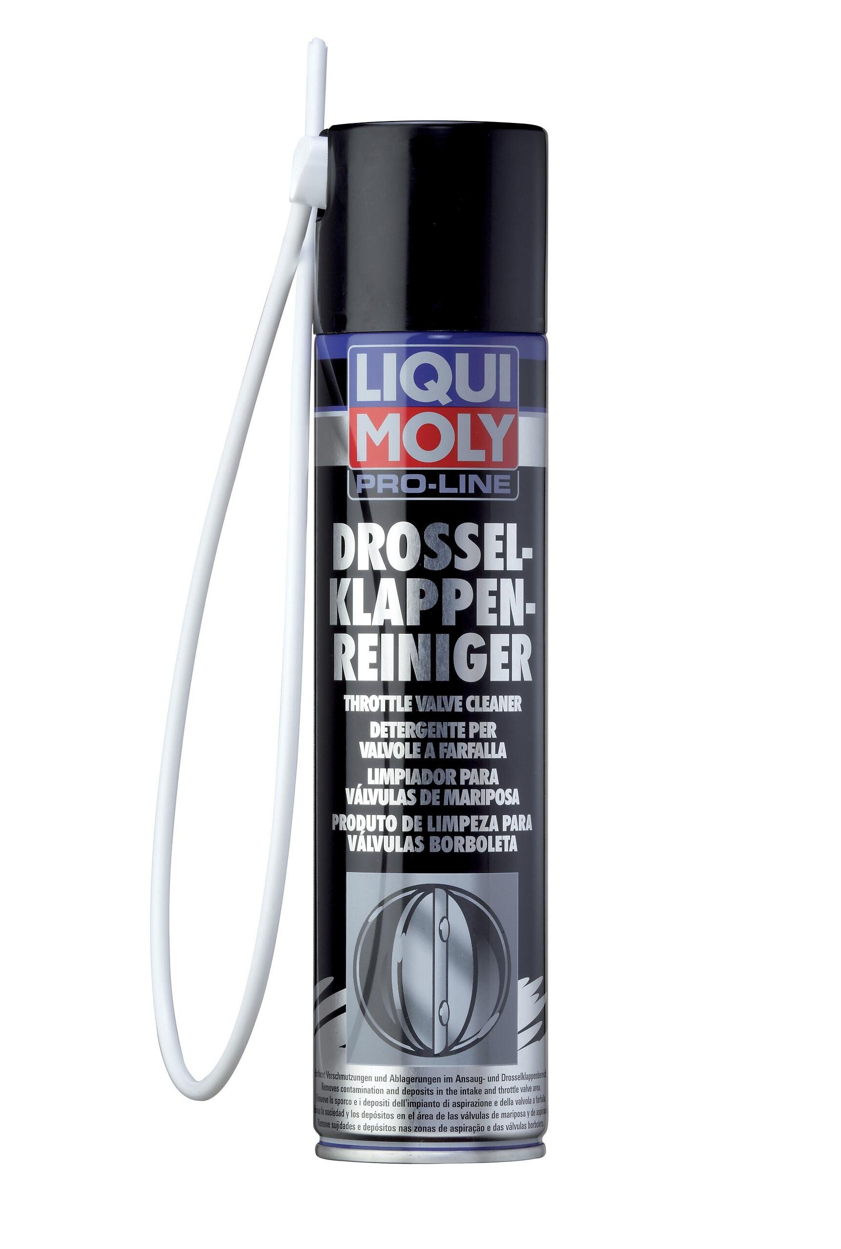GAZ KELEBEĞİ TEMİZLEME SPREYİ (BENZİN) 400ML