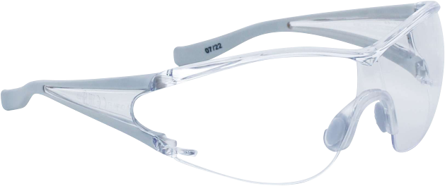 Delta Plus Egon Şeffaf Koruyucu Gözlük  