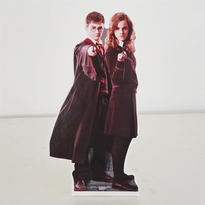 Ayaklı Dekor Pano - Harry Potter ve Harmony- 30 cm
