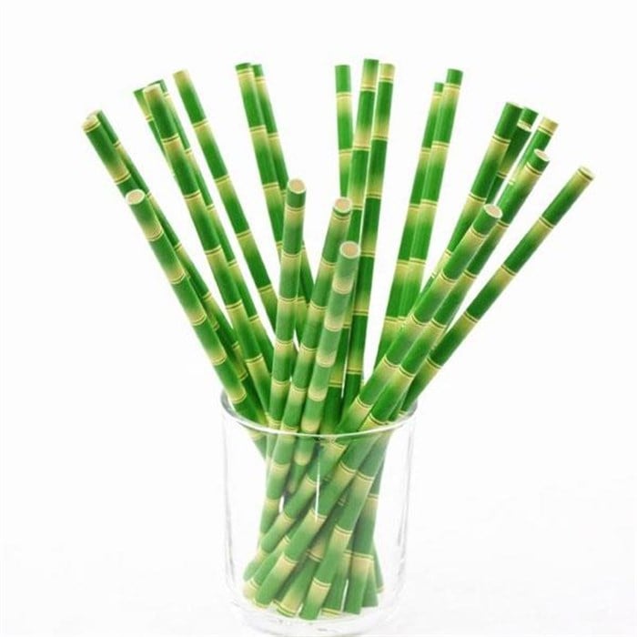 Bambu Desenli Kağıt Pipet
