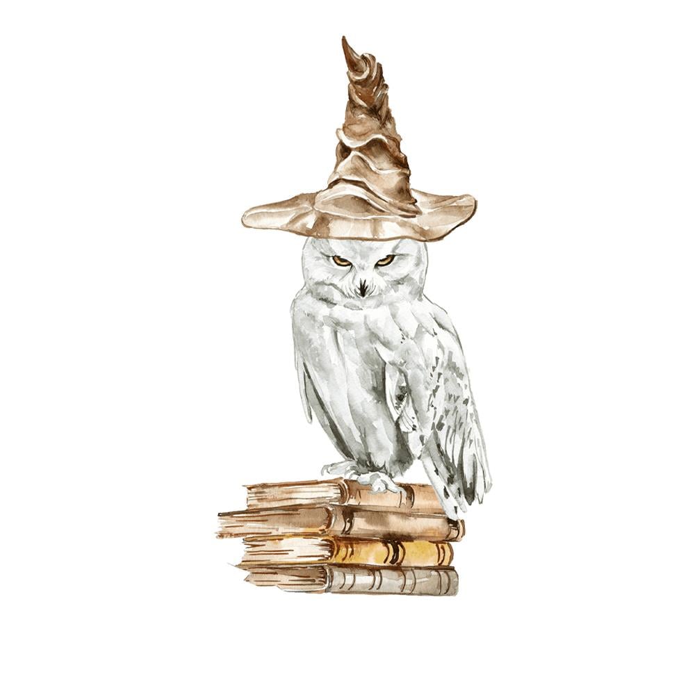 Harry Potter Hedwig Temalı Ayaklı Dekor Pano