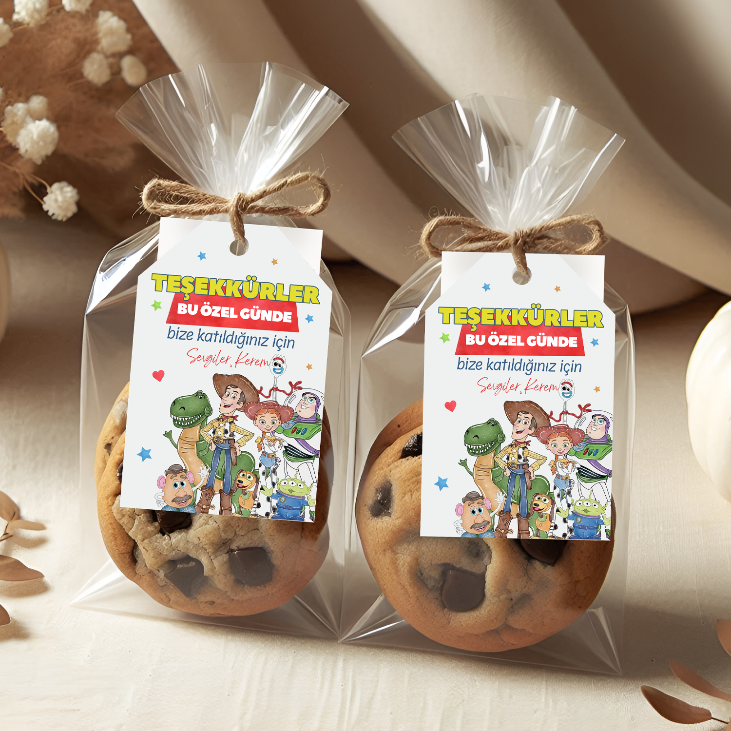 Toy Story Temalı Kişiye Özel Teşekkür Kartı 8'li