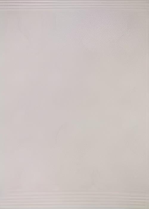 Merison Halı Moon SionHalı