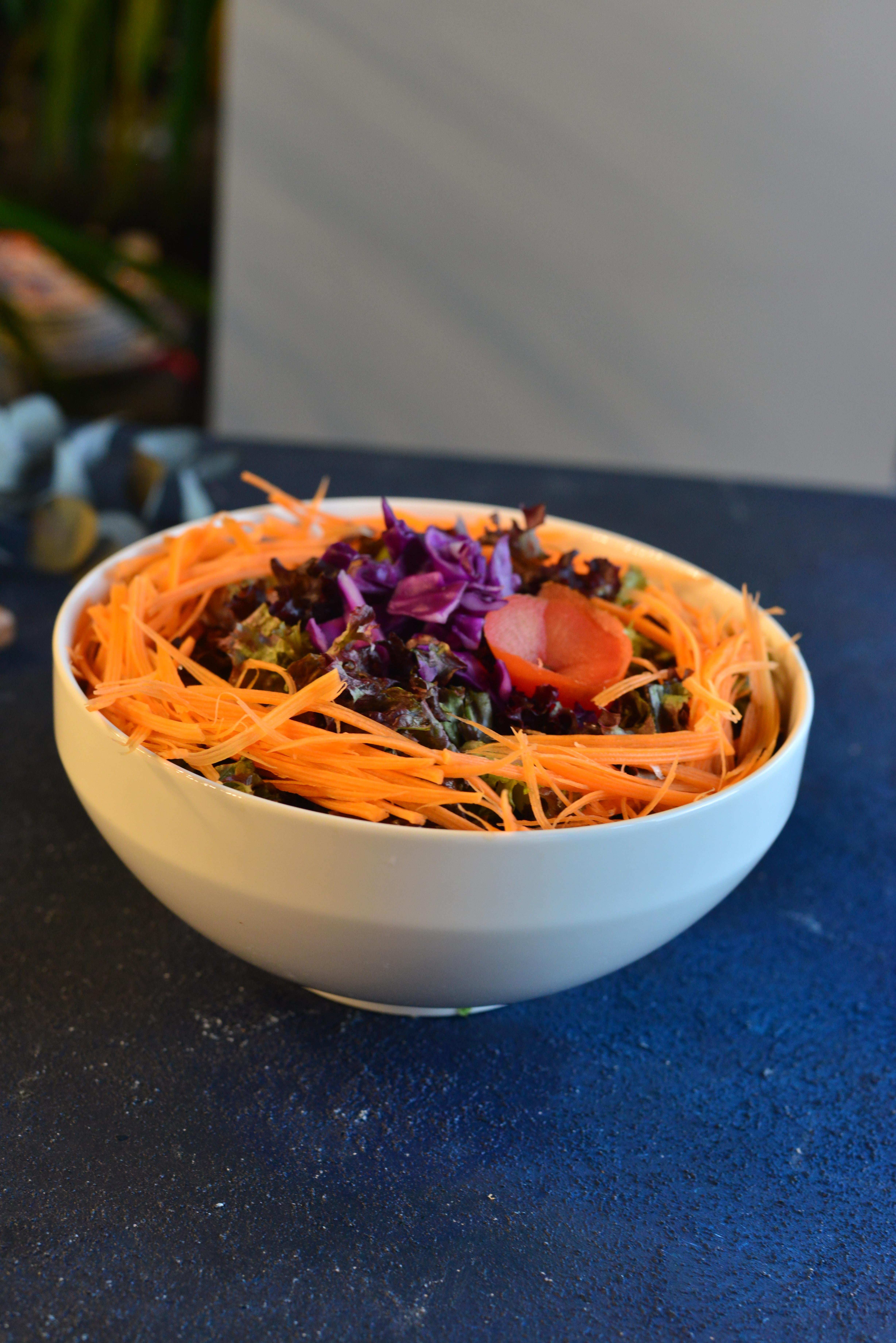 Aria Porselen Salata Kase 1 Adet - 20 cm x 9 cm 