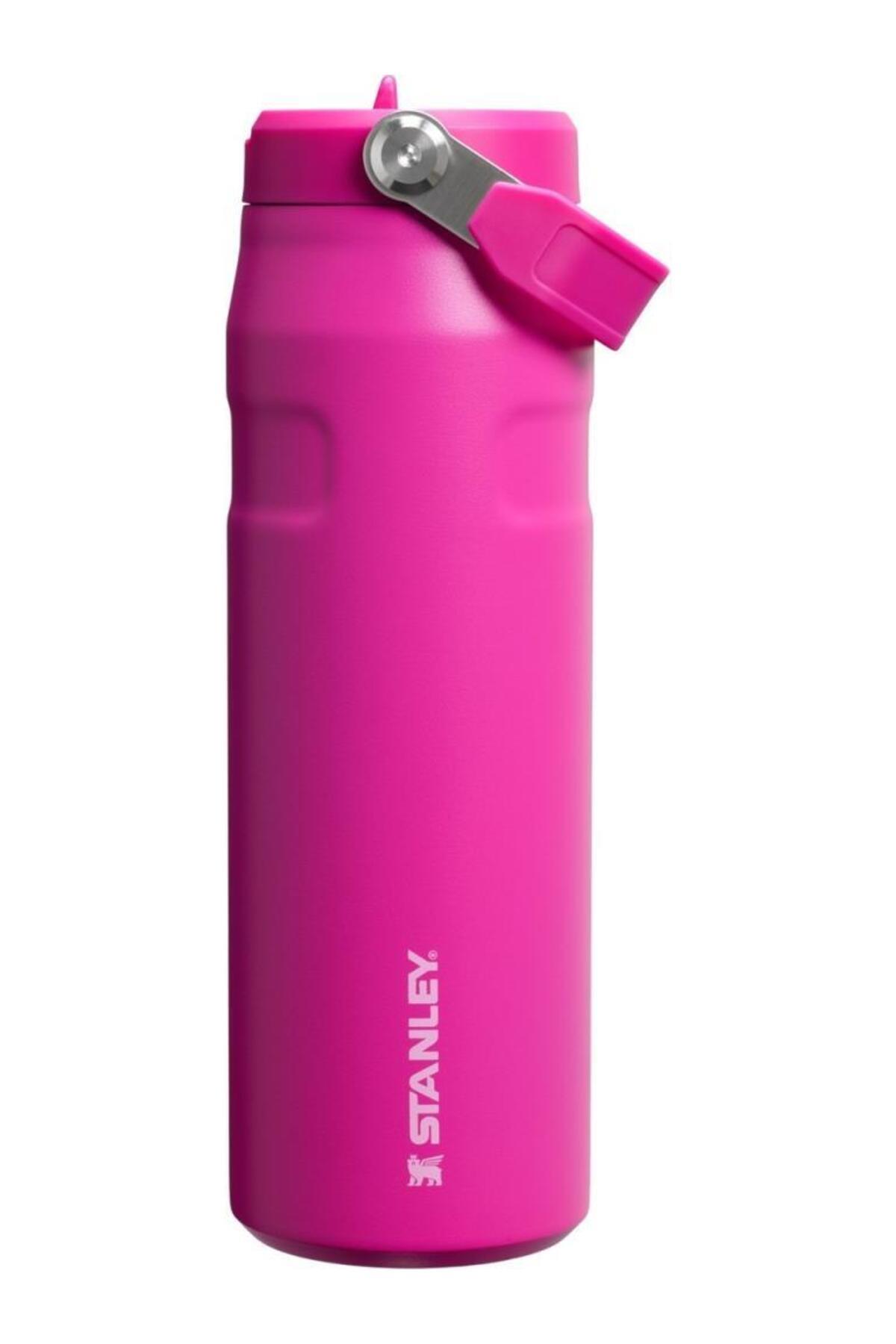 Stanley The IceFlow Flip Straw Pipetli Termos Bardak 0,70 LT / 24 OZ - Violet