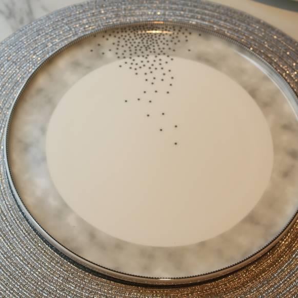 Tena Elegans 28 Parça Porselen 6 Kişilik Yemek Takımı