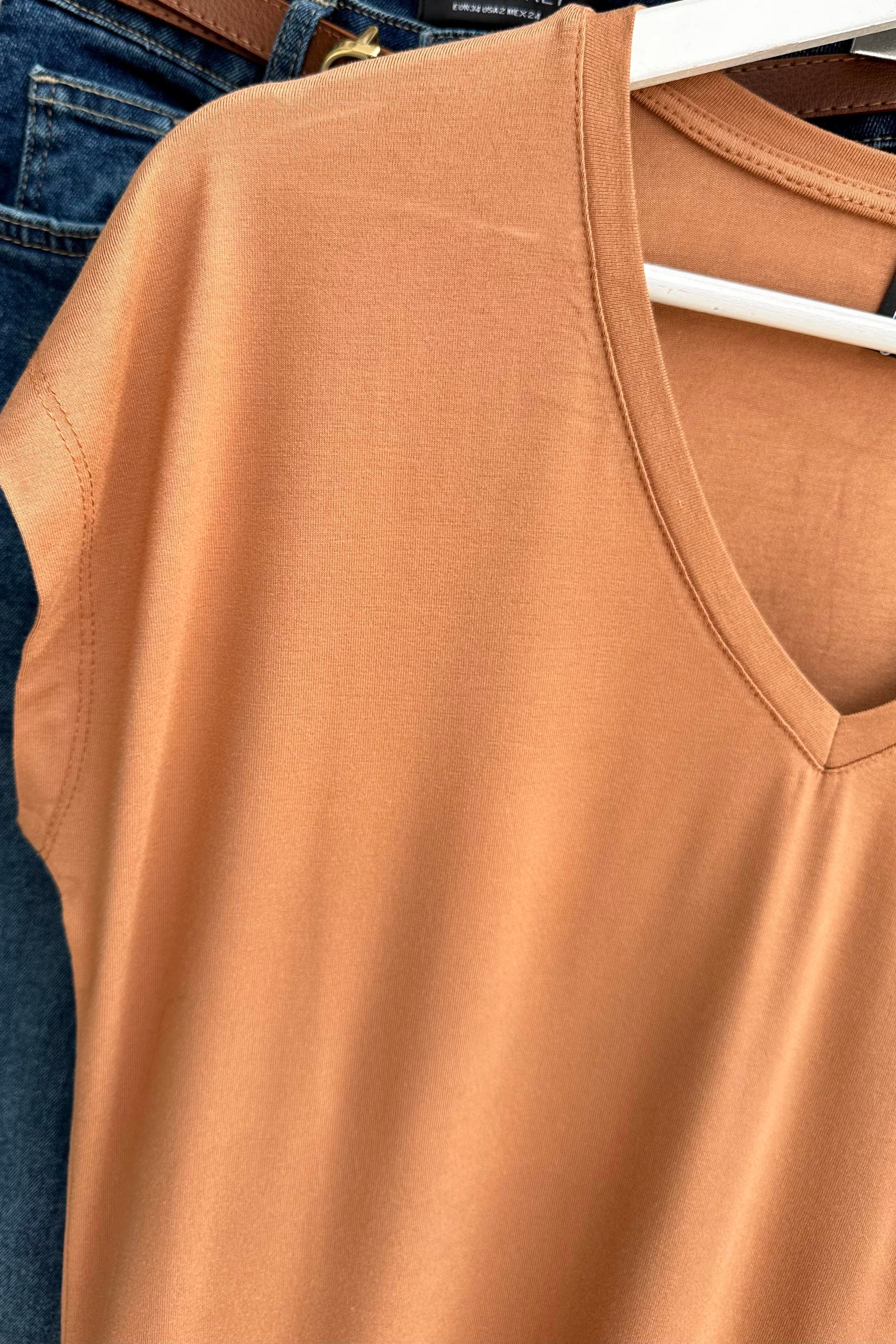 Soft Line V Yaka Basic Tişört Tarçın
