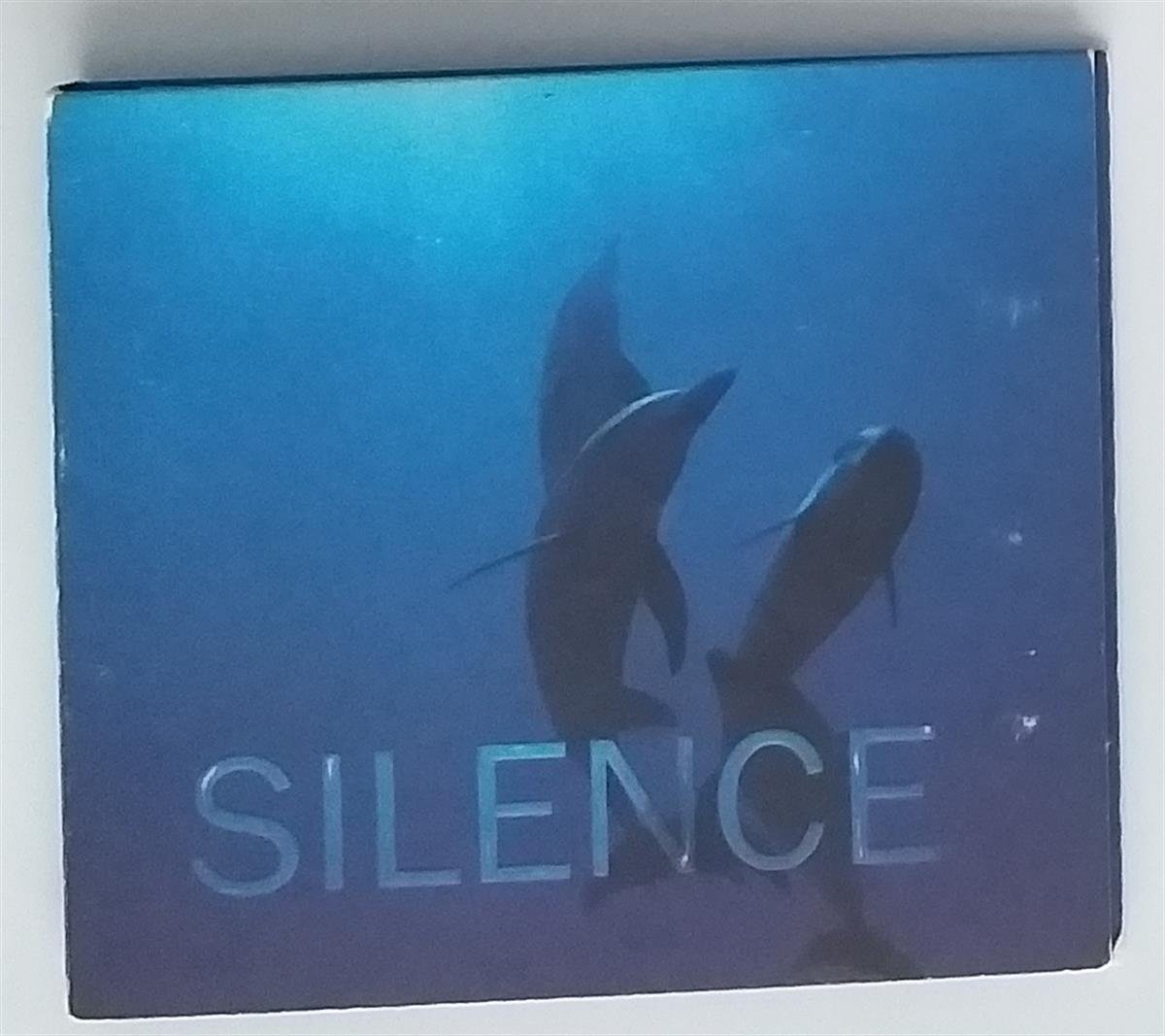 ÇEŞİTLİ SANATÇILAR - SOUND OF SILENCE