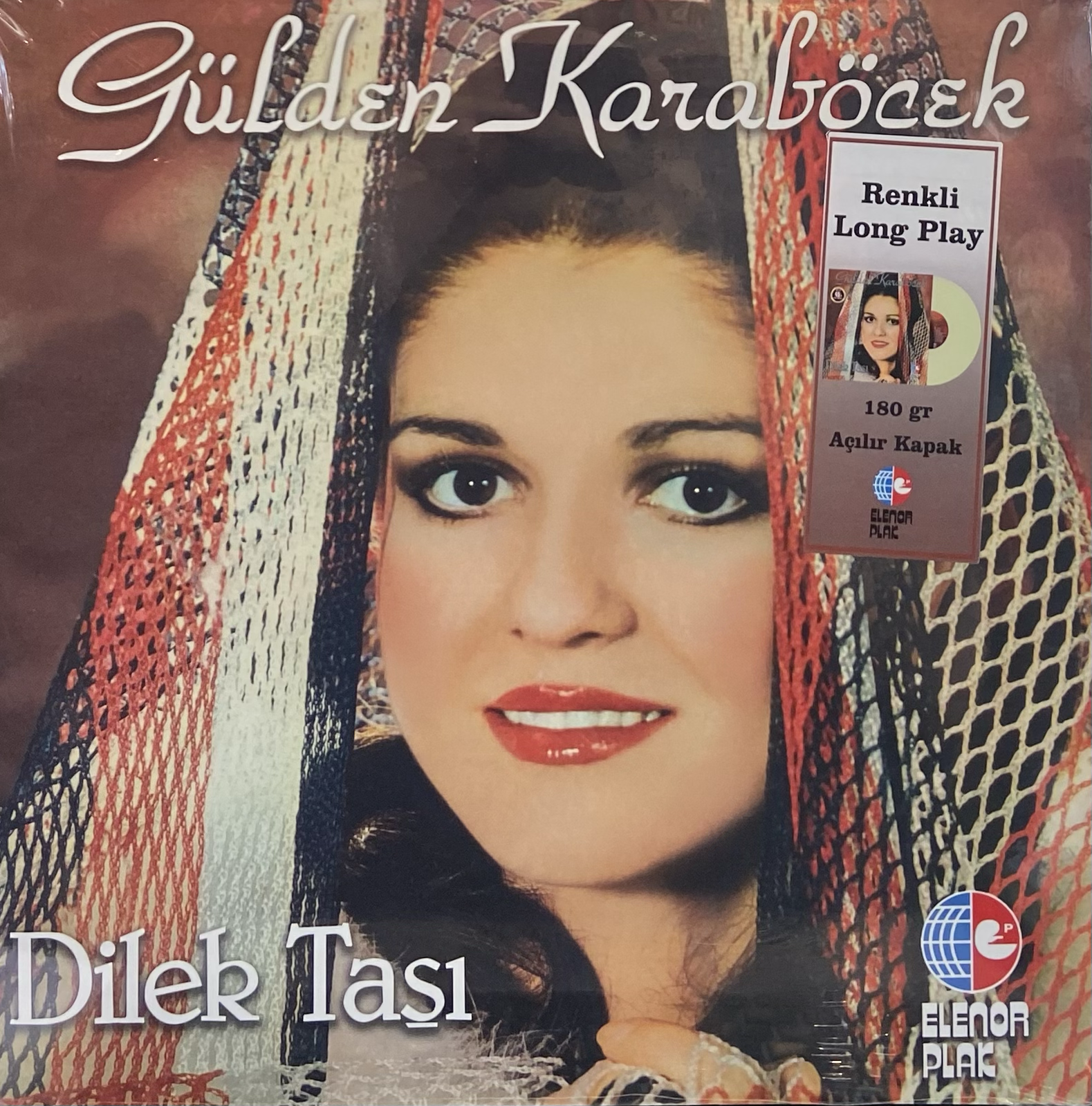 GÜLDEN KARABÖCEK - DİLEK TAŞI (RENKLİ PLAK)
