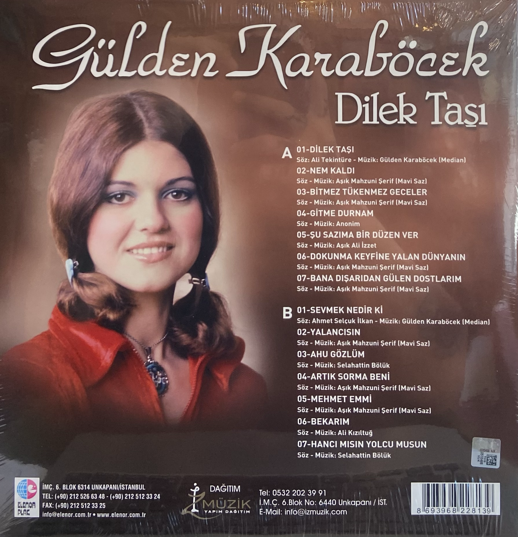 GÜLDEN KARABÖCEK - DİLEK TAŞI (RENKLİ PLAK)