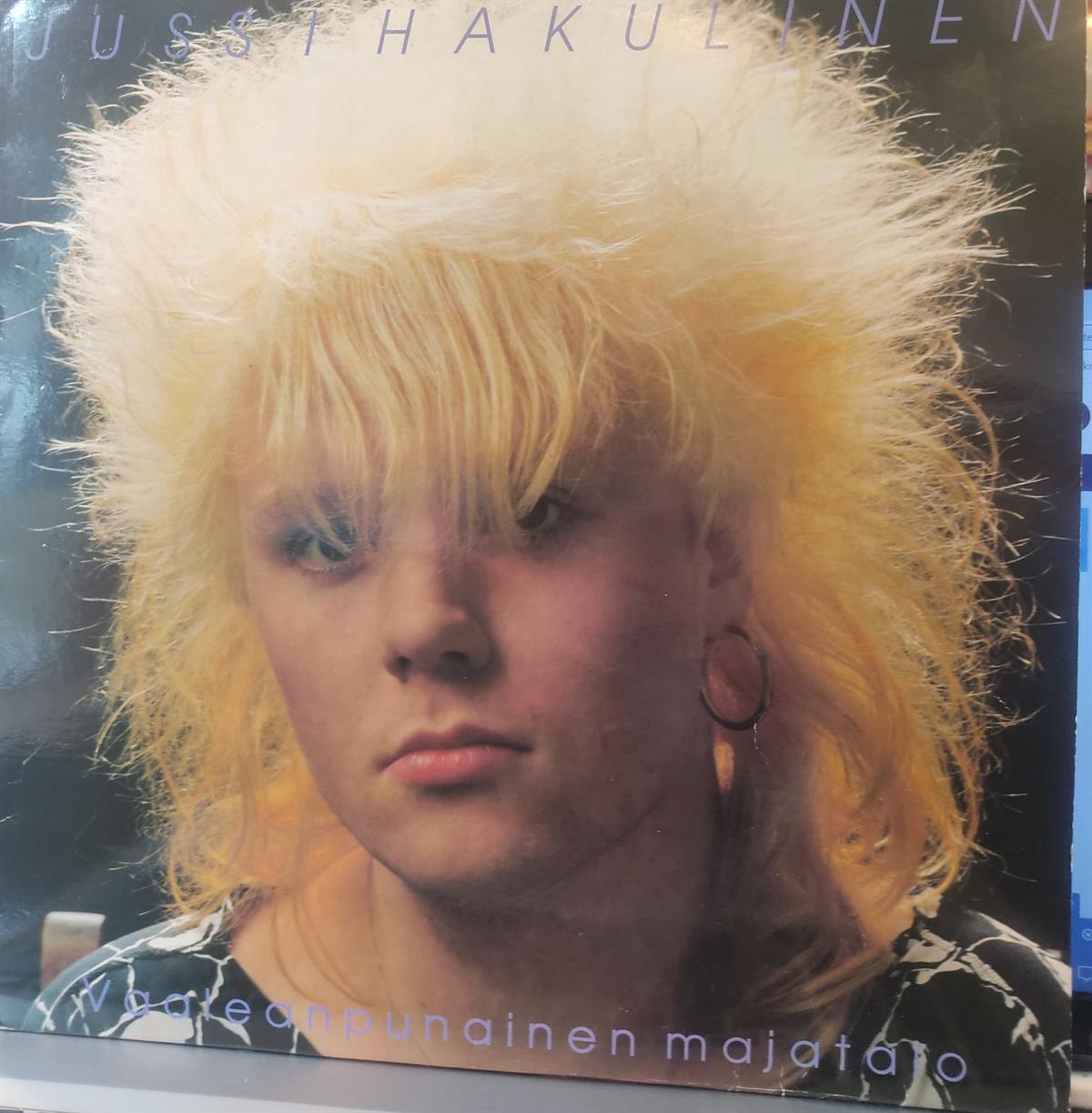 JUSSI HAKULINEN - VAALEANPUAİNEN MAJATALO