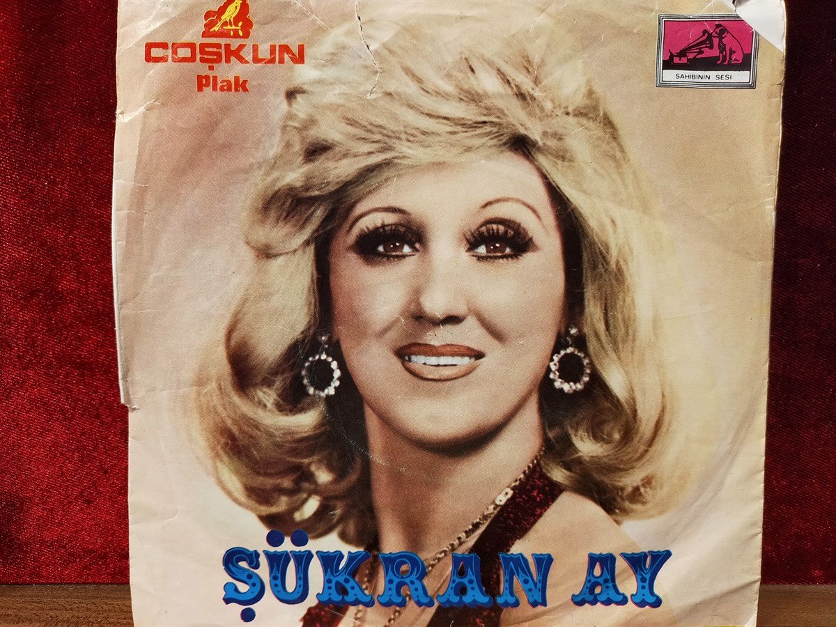 Şükran Ay ‎– Sevme Dediler Sevdim / Ben Geldim Meyhaneci