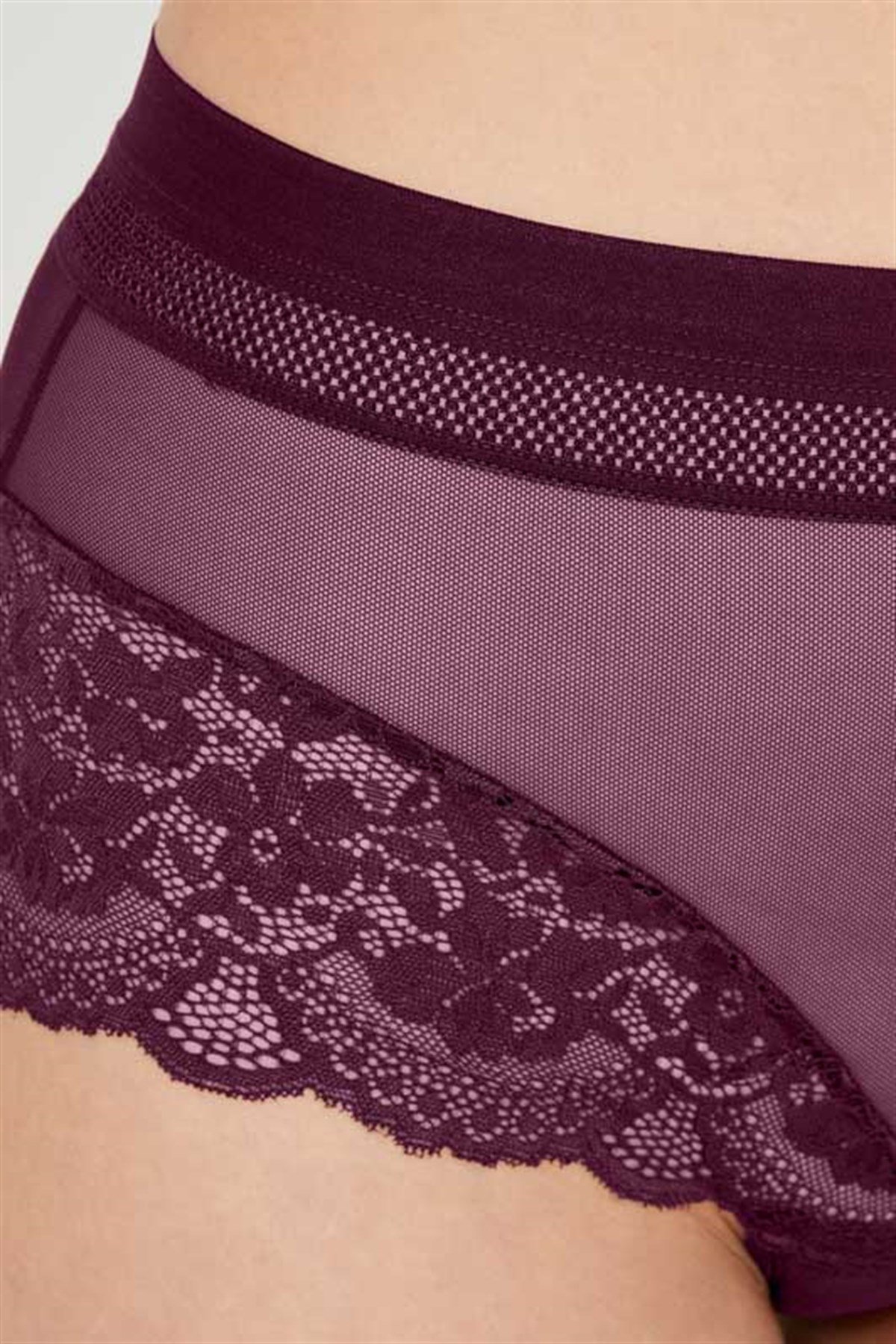 Mürdüm Dantel Detaylı Transparan Büyük Beden Bikini Külot