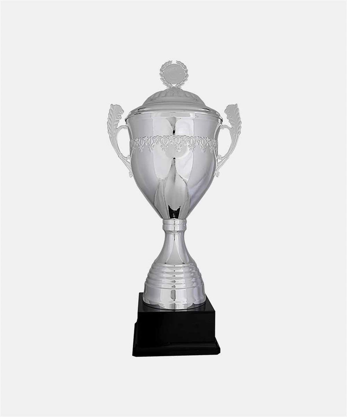 J2BaysporÖzel KupalarBayspor J2 Özel Tekli Gümüş Kupa 71 cm