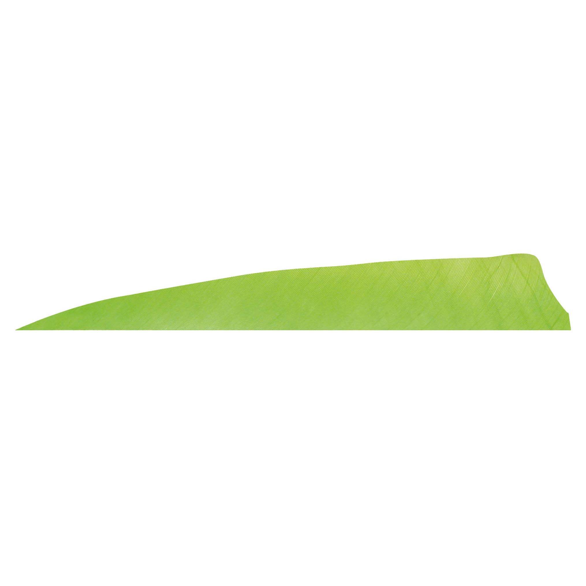 Gateaway Naturel Tüy Shield 4.0
