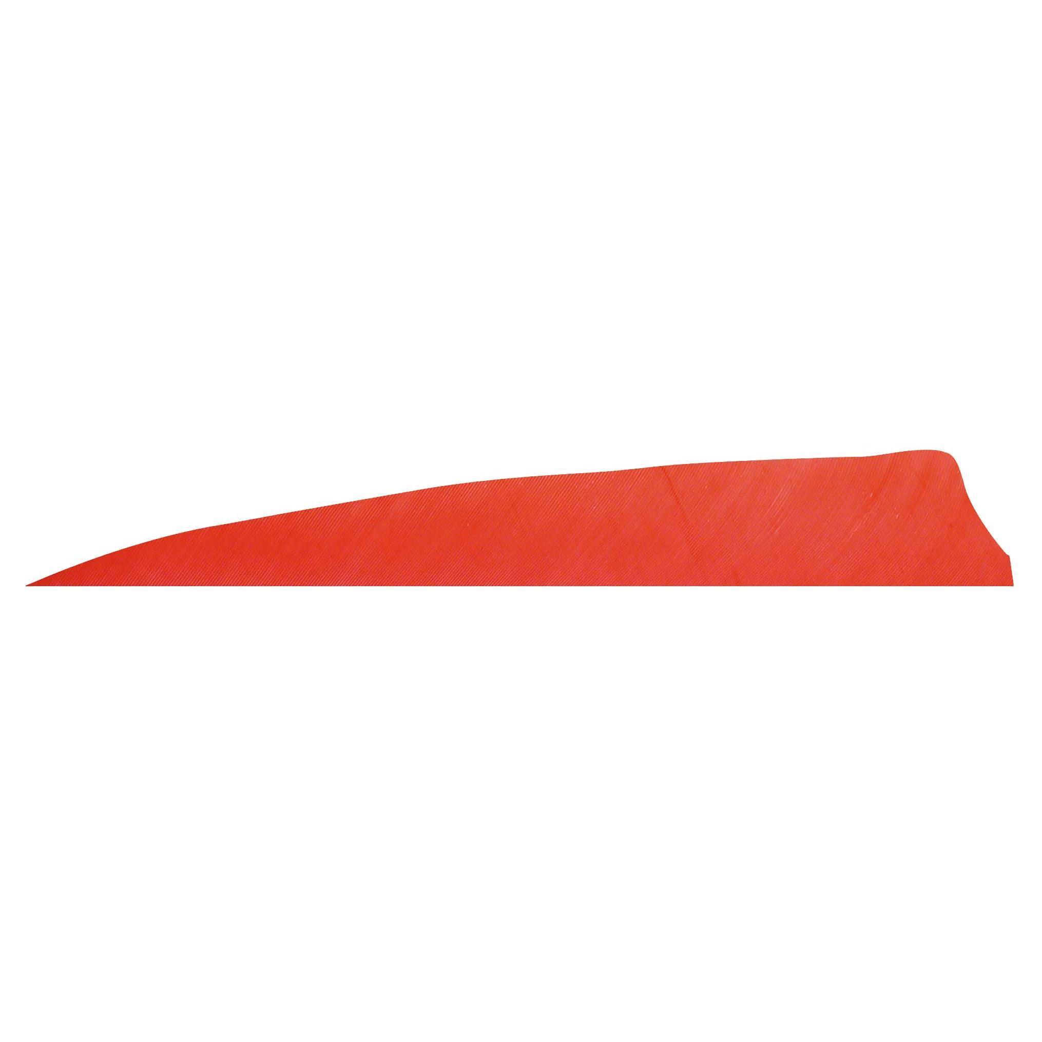 Gateaway Naturel Tüy Shield 5