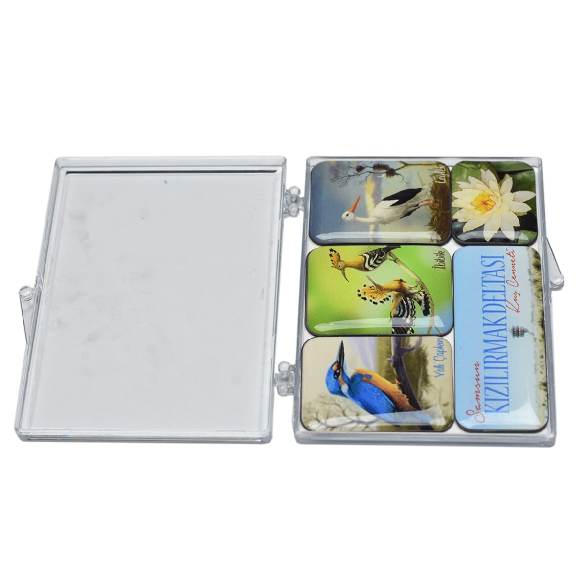 5 Li Magnet Seti 5 Li Magnet Seti