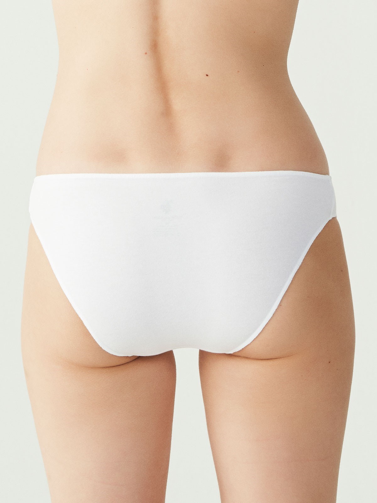 USPA Kadın Çok Renkli 5 Lİ Kıl Lastikli Slip - US.B1.67006 491