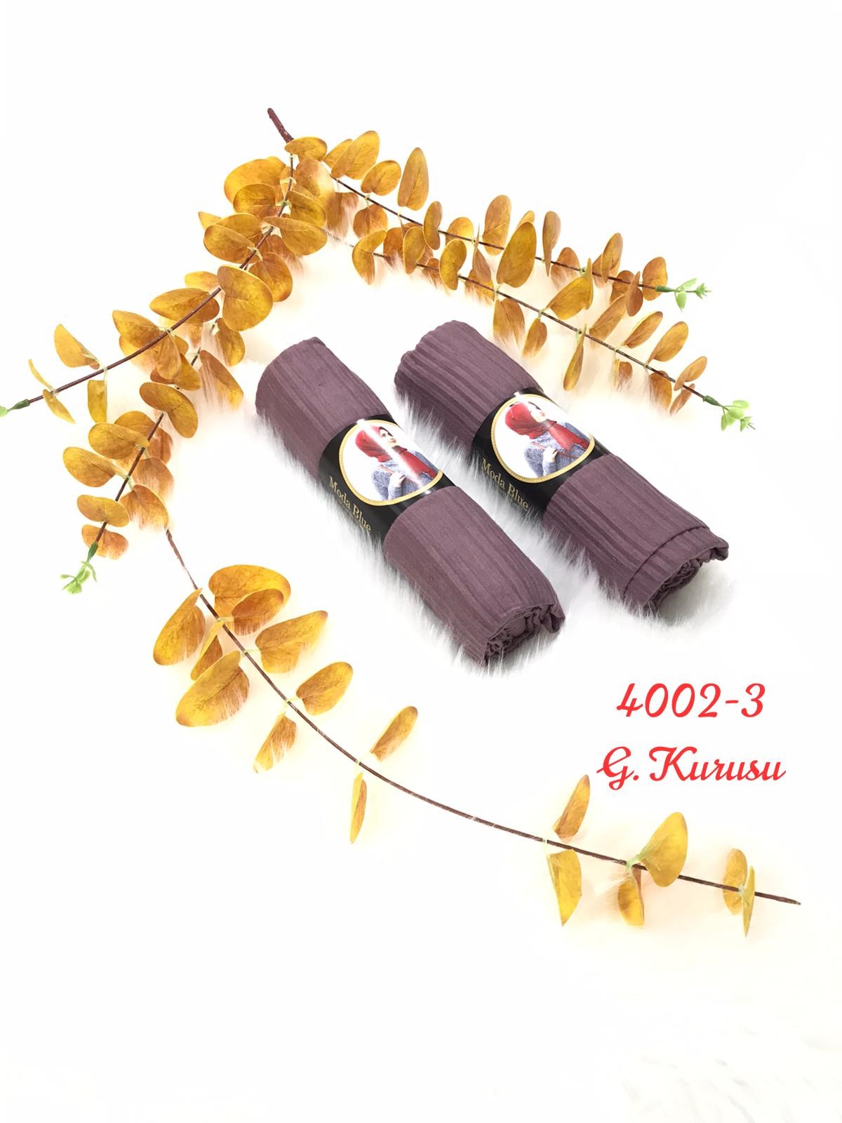 4002 Pliseli Pratik Şal