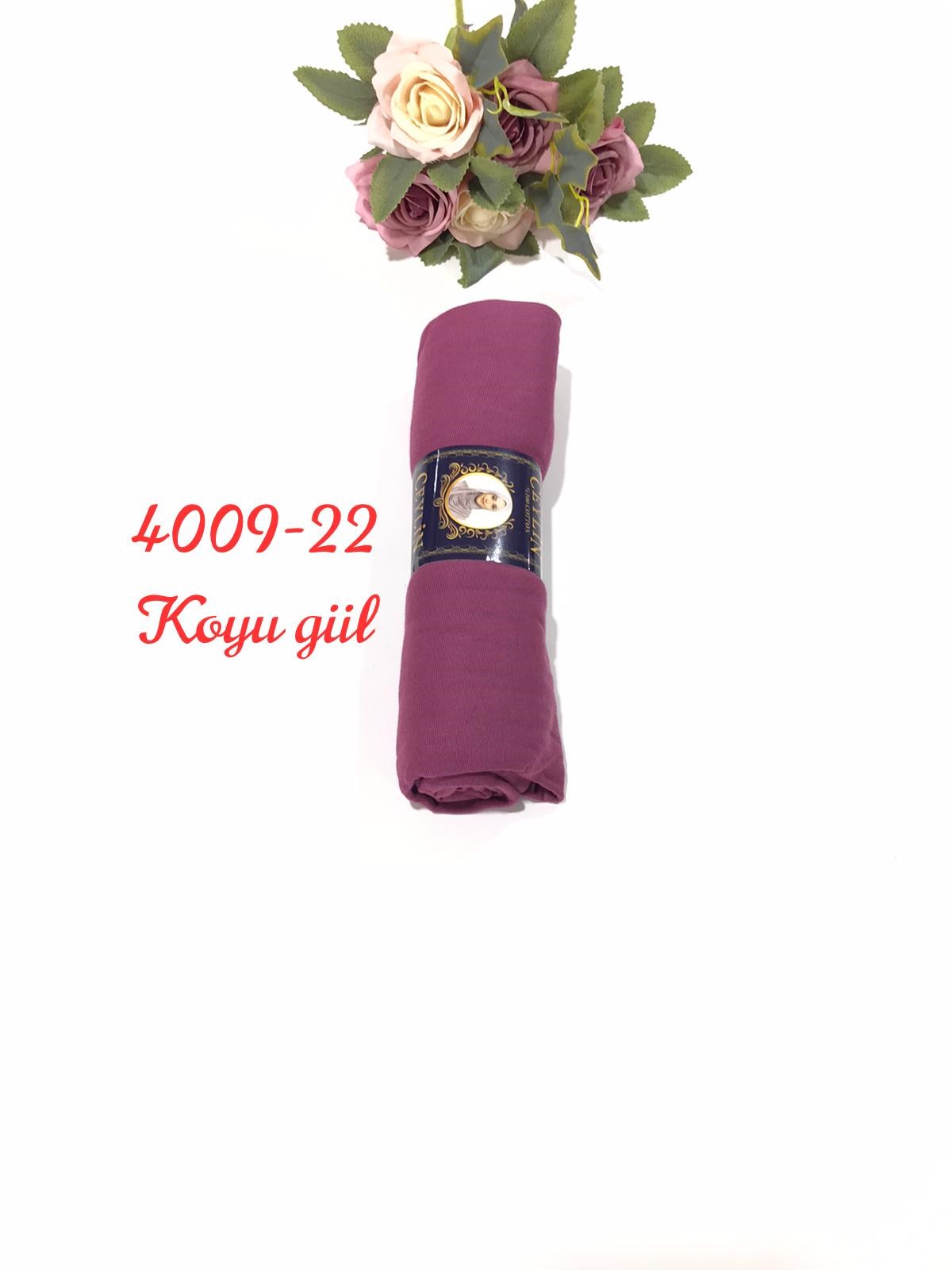 4009 Penye ŞAL