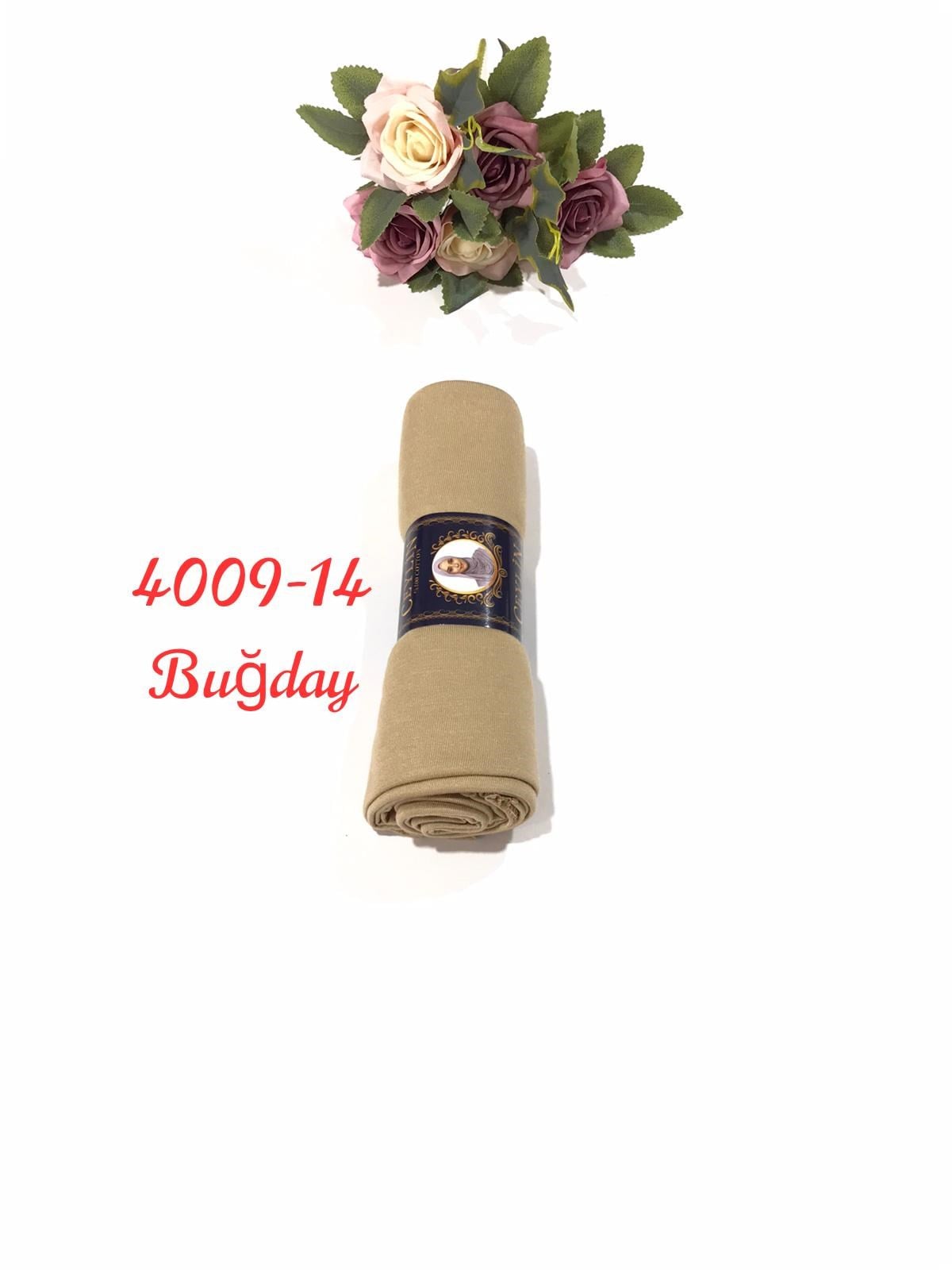 4009 Penye ŞAL