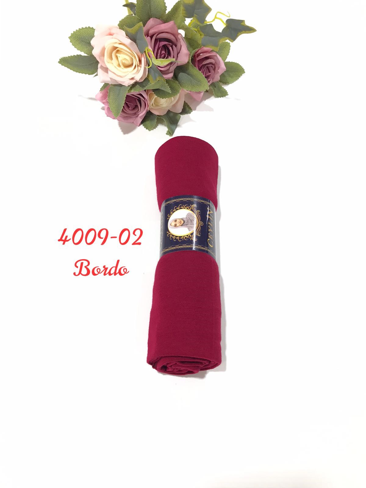 4009 Penye ŞAL