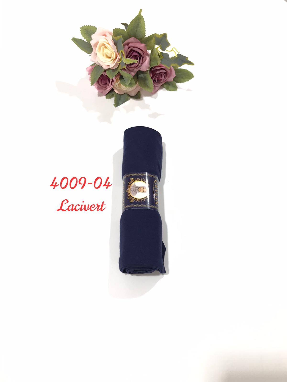 4009 Penye ŞAL